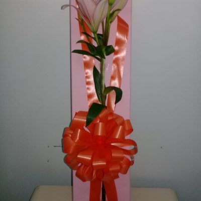 cajas con rosas