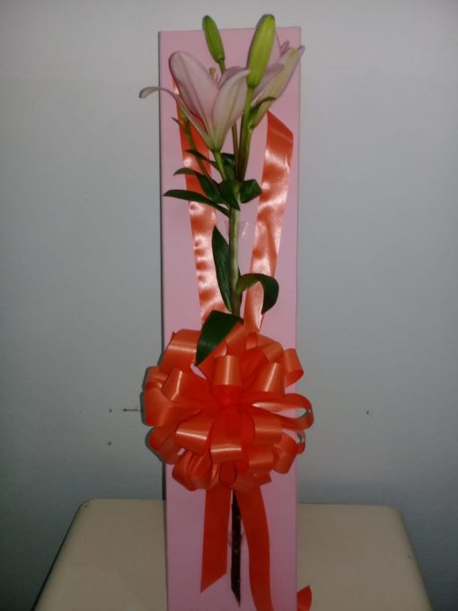 cajas con rosas